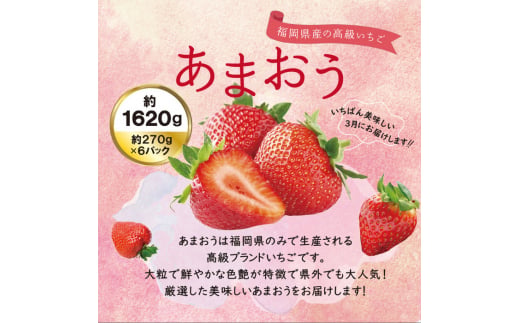【先行予約】【全2回定期便】【 数量限定 】 あまおう いちご 1,620g (約 270g×6パック) 【2026年3月初旬より順次発送】糸島市 / 株式会社HSP-テクノ グランデ 等級 福岡県産