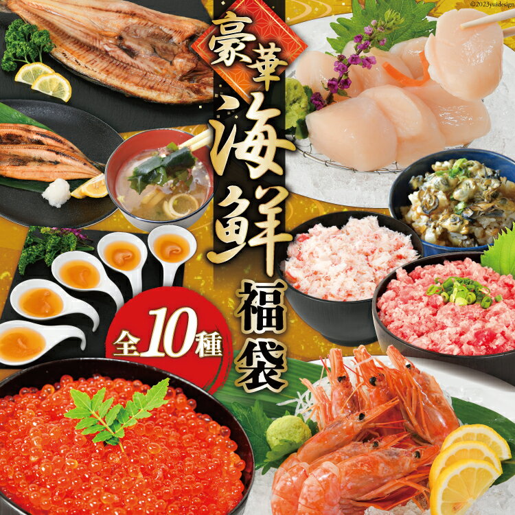 【ふるさと納税】豪華 海鮮福袋 全10種 [カネダイ 宮城県 気仙沼市 20564324] 海鮮 福袋 いくら ホタテ ほたて カニ かに ズワイガニ フカヒレ 魚介 魚 冷凍