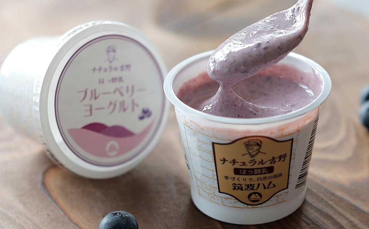 【 筑波ハム 】 ブルーベリー ご褒美ヨーグルト ギフトセット【 筑波ハム ヨーグルト クリームチーズ チーズ ブルーベリー ご褒美 乳 腸活 美容 健康 ギフト 贈答 茨城県産 国産 つくば市 】