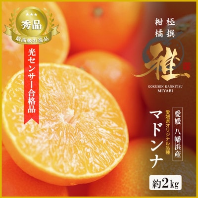 極撰 柑橘 【 雅 】光センサー 合格品・プルプル食感「 マドンナ 」 2キロ　【D39-43】【1348010】