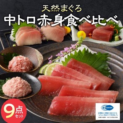 ふるさと納税 焼津市 マグロ 中トロ 赤身 ねぎとろ S6(a20-365) |  | 01