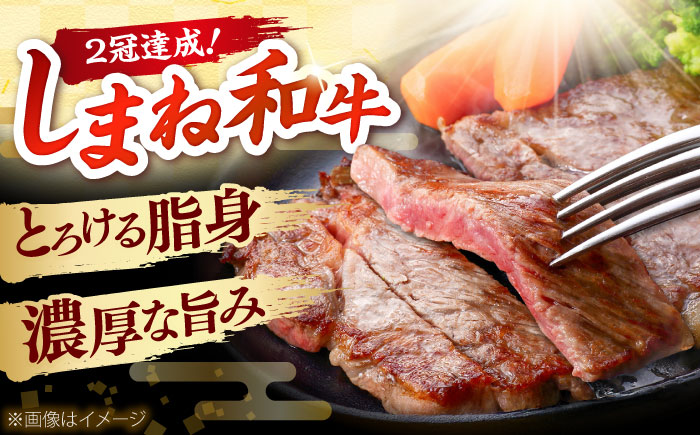 しまね和牛 サーロインステーキ200ｇｘ1枚 和牛 牛肉 ステーキ / 島根県雲南市 / フジキコーポレーション株式会社 [AIEA004]