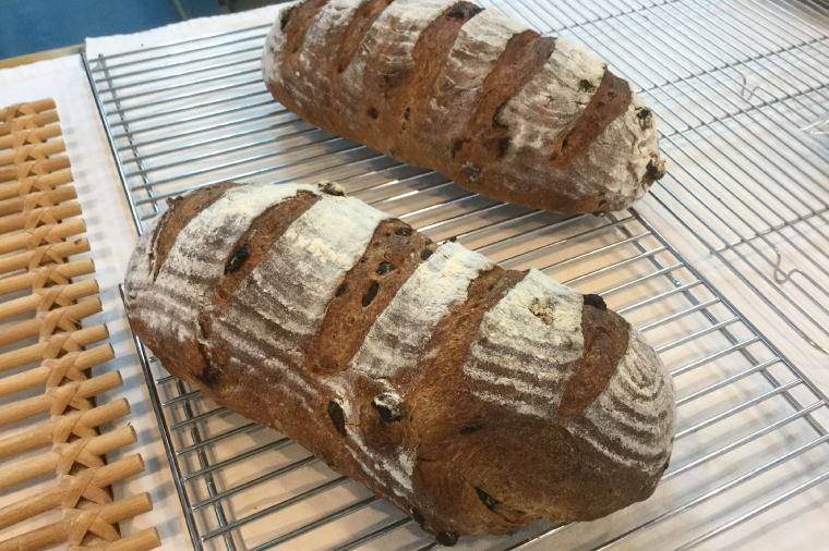 BB002　シンプルパンのぶどうパンノエル