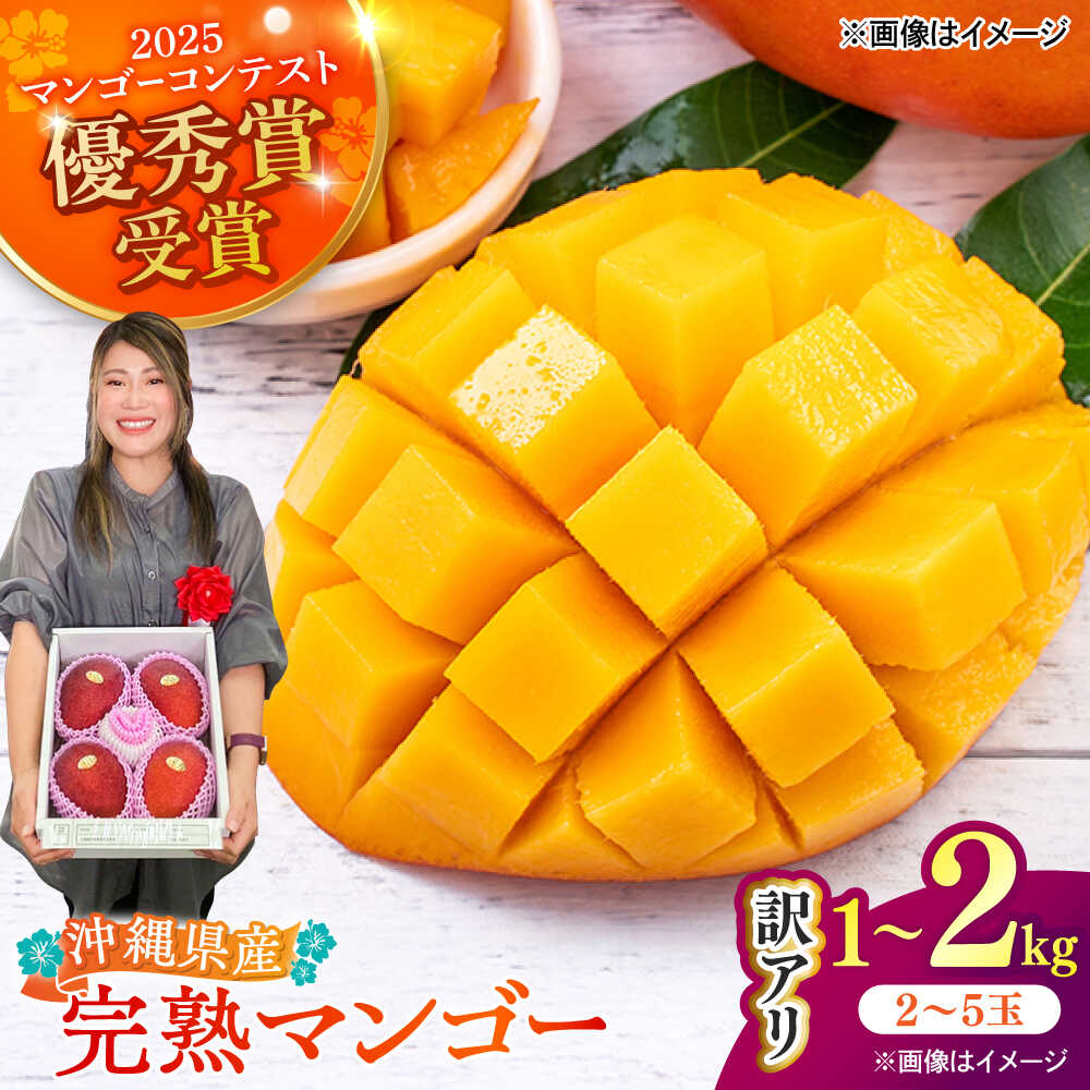 【ふるさと納税】【2026年発送】【優秀賞受賞】沖縄県産 完熟マンゴー (訳あり) マンゴー 沖縄 果物 フルーツ ギフト 沖縄市 / MAIFARM [BCAN003]