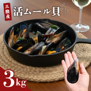 三陸産 活ムール貝 3kg ムール貝