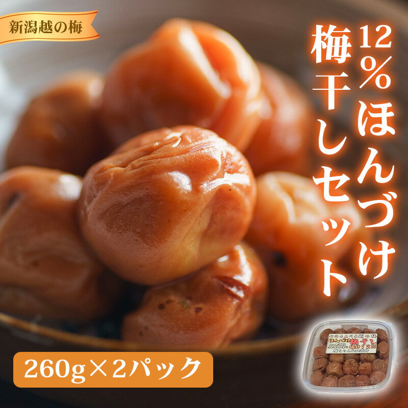 【ふるさと納税】【保存料不使用】12%ほんづけ梅干しセット（新潟越の梅）260g×2 新潟県産越の梅 高級 大粒白梅 梅干 梅干し 人気 ご家庭用 天然 新潟県糸魚川 うめぼし 梅ちゃんfarm笠井