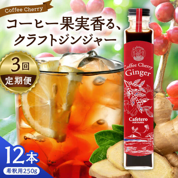 【ふるさと納税】【先行予約】【2025年7月中旬から順次発送】【全3回定期便】カフェテーロ葉山 チェリージンジャー 250g×12本 / ジュース 飲料 ジンジャー チェリー 250ml 葉山町【合同会社エンディレクト】[ASBM016]