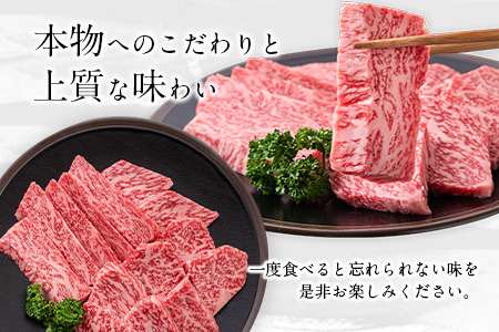 ふるの牛（黒毛和牛）特選焼肉用 500g (ロース250g、カルビ250g) A5 ミシュラン掲載《30日以内に出荷予定(土日祝除く)》