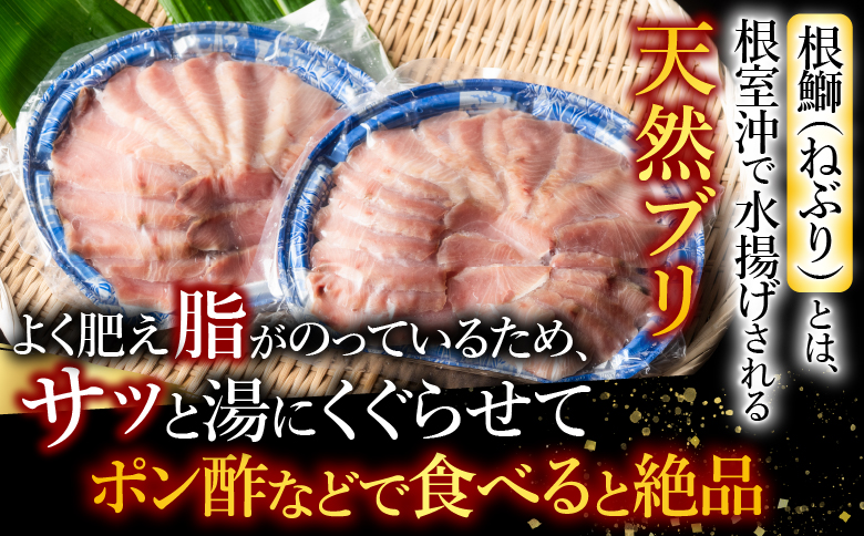 【北海道根室産】天然根鰤しゃぶセット A-42126