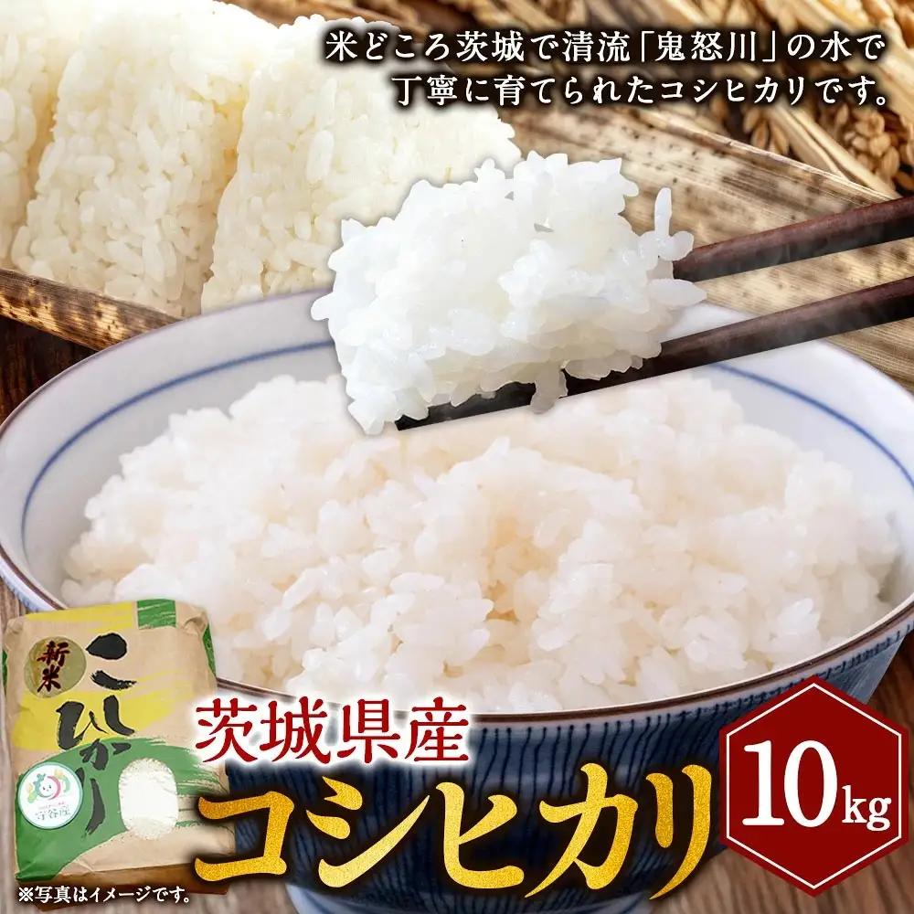 令和8年産コシヒカリ 10kg | 米 茨城県産 守谷市