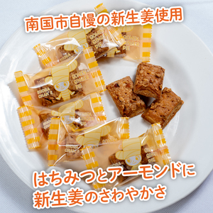 ごめんしょうがパイ10個×4 しょうがしょうがしょうが