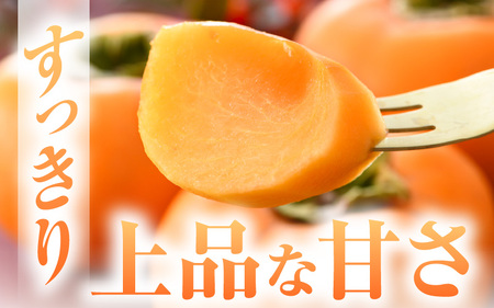【先行予約】越前柿 36個入 約6kg（M～2L）≪JA受賞歴親子２代≫  ／ 果物 フルーツ 柿 産地直送 期間限定 あわら ※2024年11月上旬より順次発送