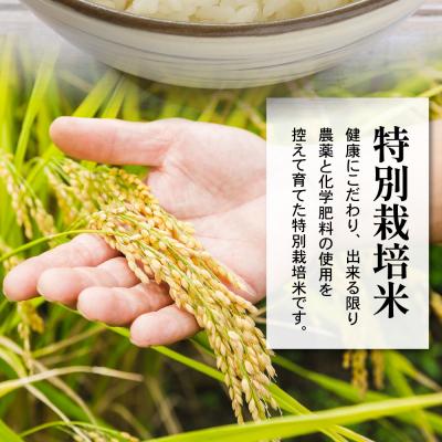 ふるさと納税 米沢市 令和7年産 特別栽培米 雪若丸 10kg ( 5kg×2袋 ) |  | 01
