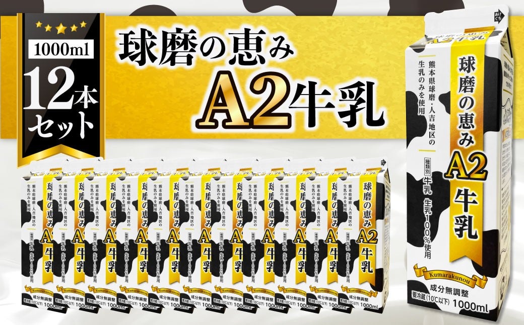 
                  球磨の恵みＡ2牛乳12本セット 1000ml×12本 牛乳 ミルク MILK Ａ2牛乳 生乳 乳飲料 カルシウム 熊本県産 球磨 人吉
                