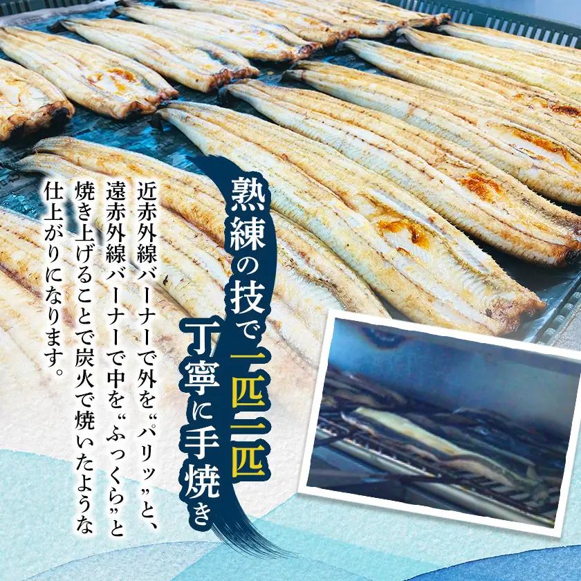 【2ヵ月毎定期便】【産地直送】浜名湖産　うなぎ蒲焼 約150g×5尾[かわべのうなぎ]全6回_魚介・海産物 うなぎ  ウナギ 鰻  定期便 定期便  _【配送不可地域：離島】【4013247】