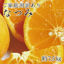 【ふるさと納税】【ご家庭用訳アリ】初夏のみかん なつみ7.5kg　※2025年4月中旬～4月下旬頃に順次発送予定(お届け日指定不可)