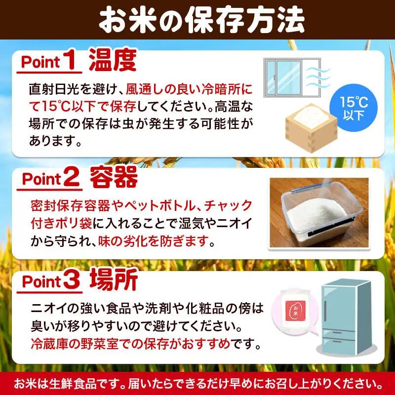《定期便6ヶ月》【令和7年産・玄米】宮城県産 ササニシキ 毎月5kg (5kg×1袋)×6ヶ月