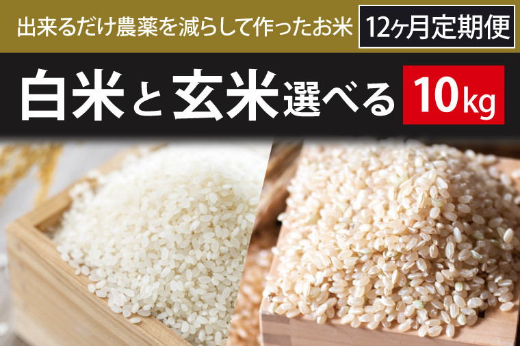 
                  【2026年10月より順次発送】【12ヶ月定期便】【できるだけ農薬を減らして作ったお米】令和8年産こしひかり 10kg(白米または玄米)｜米 こしひかり 新米 定期便(BI-86)
                