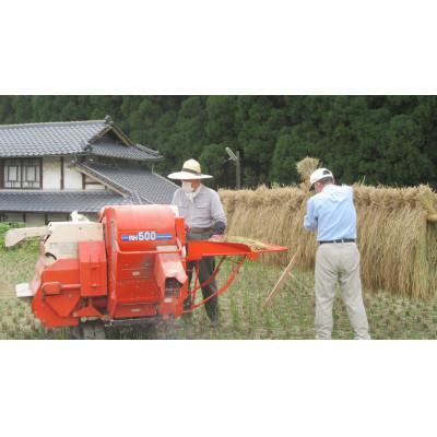 ふるさと納税 菊池市 菊池掛け干し清流米　白米　5kg |  | 03