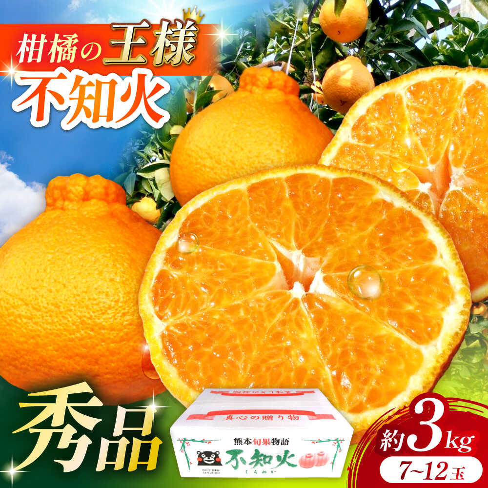【ふるさと納税】【2026年3月下旬から発送】 柑橘の王様 ハウス栽培 不知火 デコポン 約 3kg 3キロ（7〜12玉） 【小春農園】[ZBN003] ふるさと 食品 甘い 柑橘 みかん しらぬい でこぽん 旬 フルーツ 果物 高糖度 秀品 九州 熊本県産 熊本 山鹿 農家 直送 送料無料