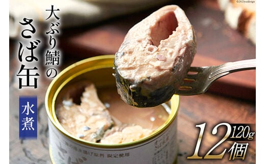 
										
										大ぶり鯖のさば缶 12缶セット 水煮 [モンマルシェ 宮城県 気仙沼市 20564038] 保存食 さば缶 サバ 鯖 缶詰 缶詰め さば味噌煮 サバ味噌煮 簡単調理 三陸 レビューキャンペーン
									