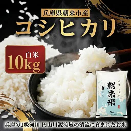 米 白米 R8年産コシヒカリ 10kg(5kg2袋)