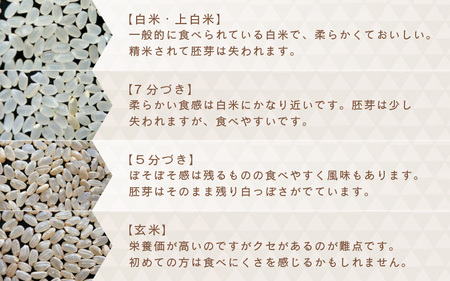 【令和5年産】さんさん池見二代目が笑顔で育てた 福井県産 コシヒカリ お試し用 5kg（7分づき）【お米 こしひかり 玄米 5キロ 選べる 精米 ブランド米 ごはん ご飯 おいしい 人気 ふるさと納税