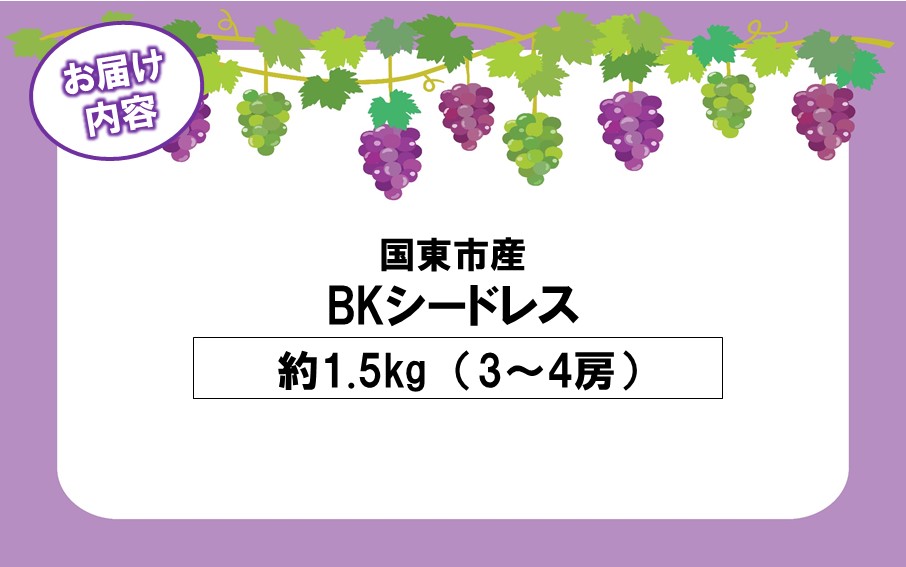 テレビで紹介されました！【先行予約】【令和8年発送】農家直送！ 新鮮！ 朝づみぶどう BKシードレス 種なし 約1.5kg フルーツ 果物 贈答 大分県産 採れたて_2657R-2