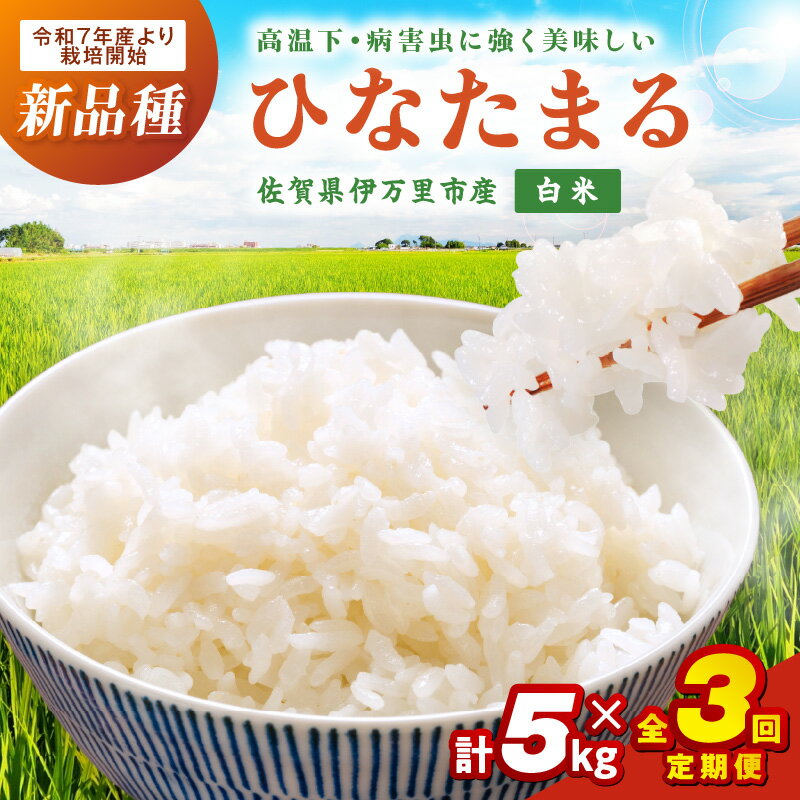 【ふるさと納税】【3ヶ月定期便】伊万里産米ひなたまる精米5kgx3 999-B889