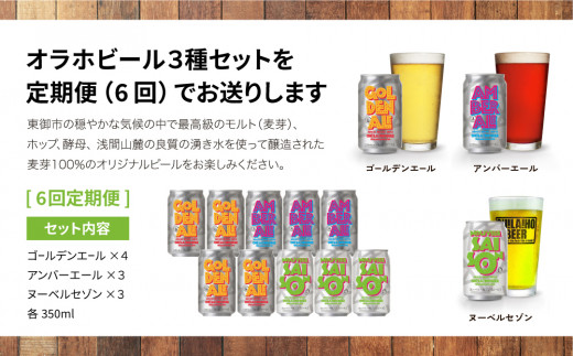 【6回定期便】オラホビール10本（3種合計10本）