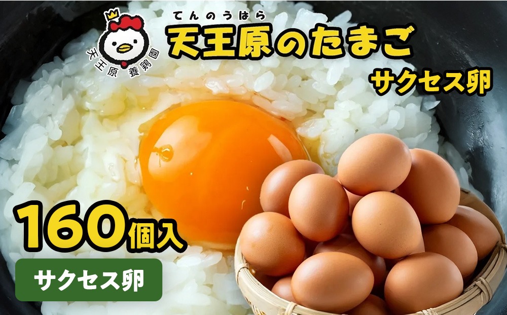 【天王原のたまご】サクセス卵160個入り