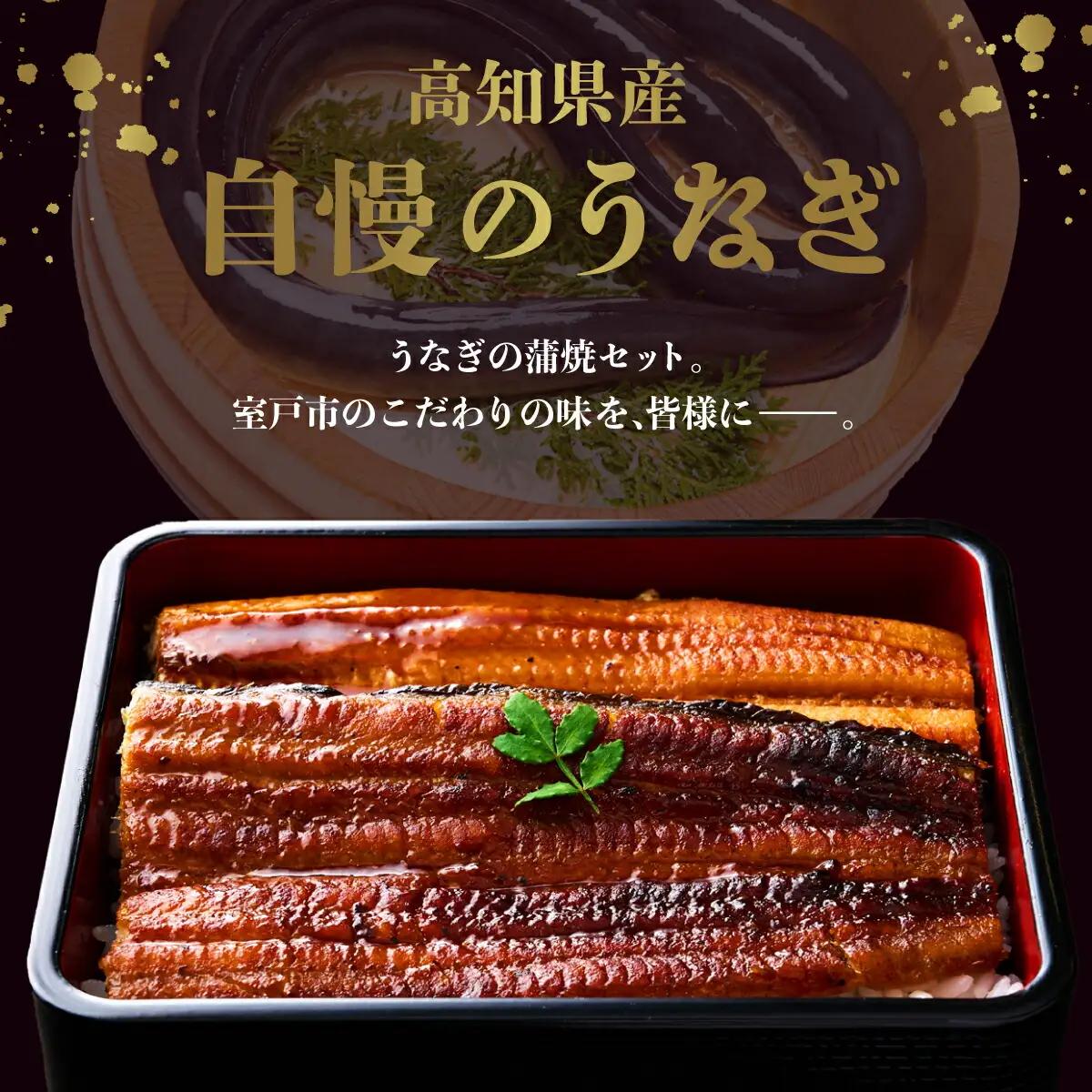 うなぎ蒲焼き 1尾 定期便 3回 うなぎ yj043