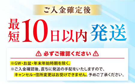 霧島シリカ 温泉水 48本[AOEH002]水 備蓄 防災