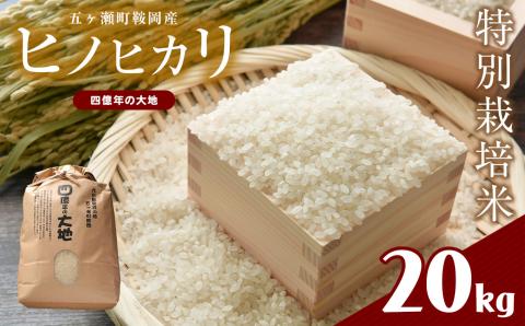特別栽培米  四億年の大地（ヒノヒカリ） 20kg