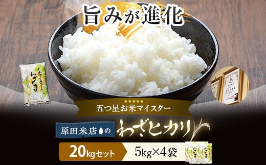 わざヒカリ20kg(5kg×4)セット 五ﾂ星お米マイスターが吟味したお米! 鹿児島 米　HSR-604