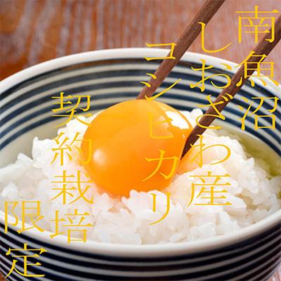 ふるさと納税 南魚沼市 【発送月固定定期便】生産者限定 契約栽培 南魚沼しおざわ産コシヒカリ 精米10Kg全9回 |  | 02