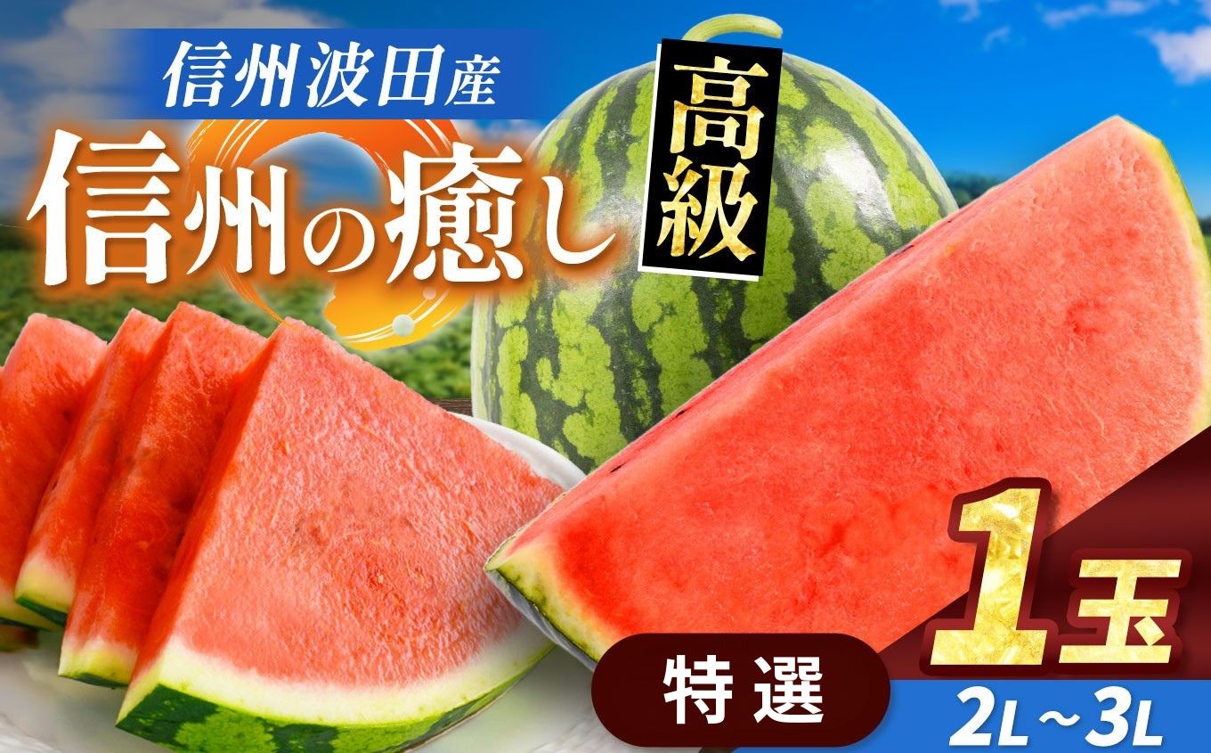
                  【先行受付：7月発送】信州波田産 贈答用 高級スイカ！ 信州の癒し 【特選】 2L～3Lサイズ 1玉｜ふるさと納税 長野県 信州 松本 果物 フルーツ すいか スイカ 西瓜 新鮮 大きい 特別 贈答 季節限定 甘い くだもの ふるーつ
                