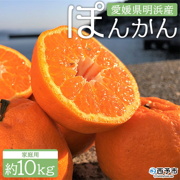 
            安樹屋　愛媛県明浜産　ポンカン　10kg（家庭用）
          