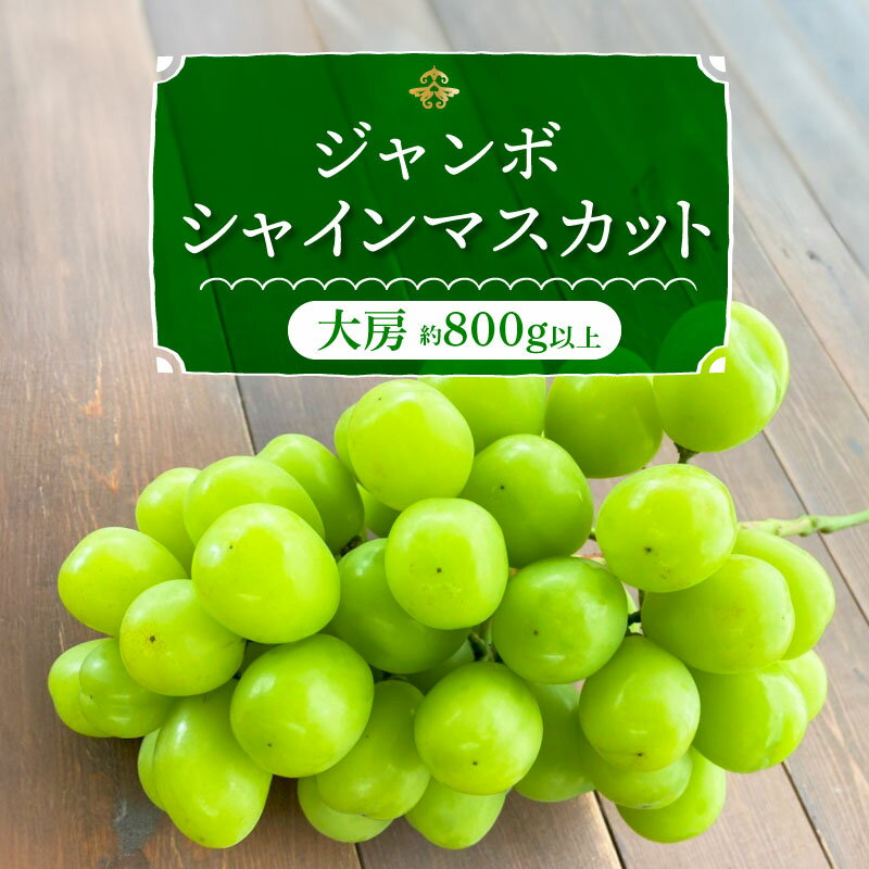 【ふるさと納税】 シャインマスカット 大房 800g以上 1房 食べ応え十分 ジャンボサイズ 冷蔵 【個数限定】 長田農園 送料無料