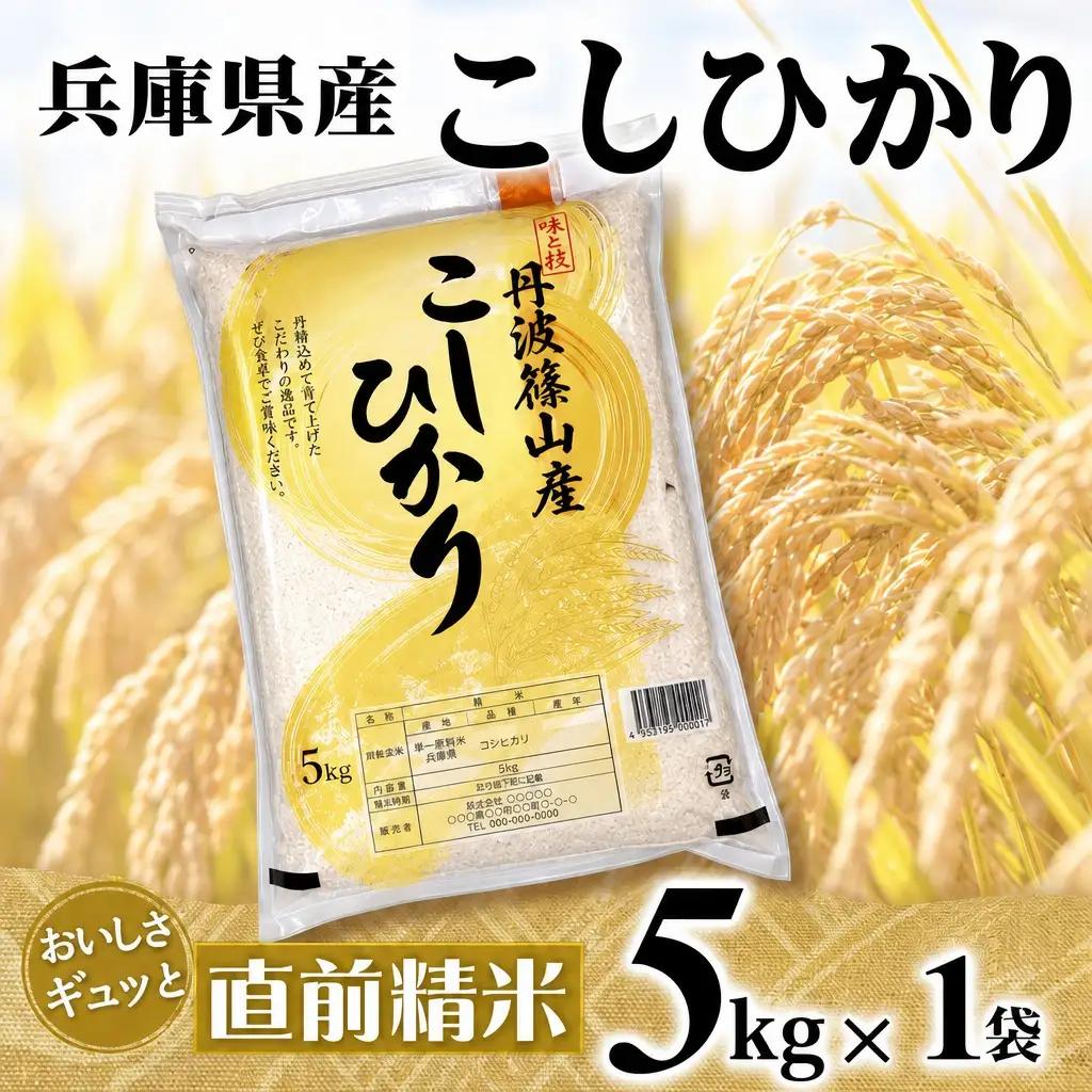 コシヒカリ 5kg 直前精米 コシヒカリ