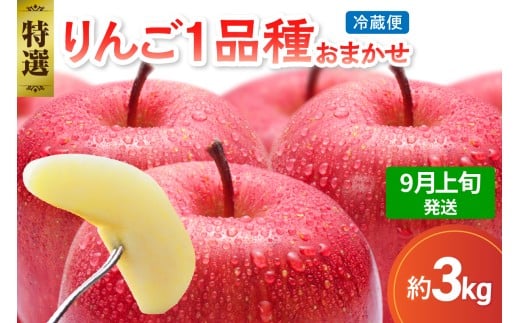 【2025年9月上旬発送】 【特選】 旬の美味しい りんご 約3kg 青森産 【おまかせ1品種】