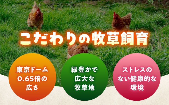 天心山 たまご 卵 高級 食品 たまごかけご飯 卵かけご飯 卵焼き 生卵 