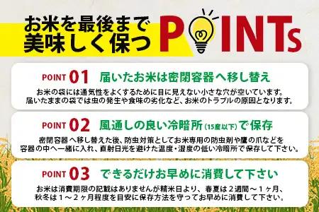  《12ヶ月毎月お届け》佐賀県産 夢しずく　玄米３０ｋｇ定期便 V-23
