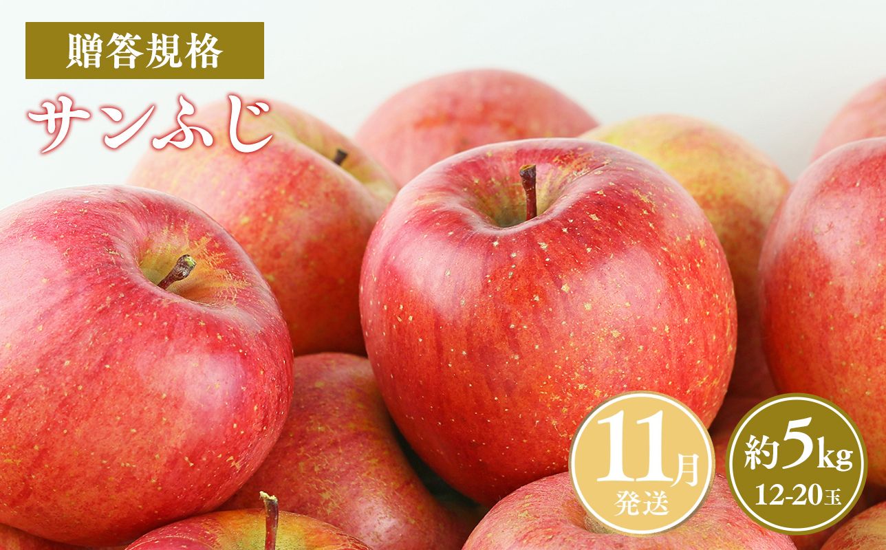 ≪令和8年産先行受付≫11月発送! 贈答用規格サンふじ約5kg【青森県 平川市 山内ファーム】 平川市産 青森りんご りんご リンゴ 林檎 ふじ 贈答 贈答品 お取り寄せ 先行予約 果物 くだもの フルーツ