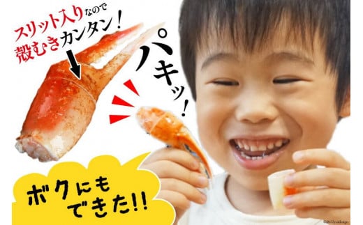 リピーター続出！ 本ずわいがに爪 約700g / カネダイ / 宮城県 気仙沼市（蟹 かに カニずわいがに ズワイガニ ずわい蟹 ズワイ蟹 ずわい ズワイ 蟹 カニ爪 蟹爪 カニ爪肉 つめ 爪 ボイル
