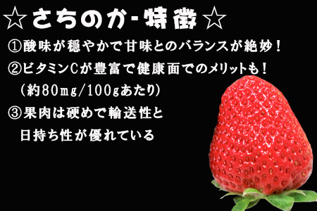 『予約受付』【令和6年2月上旬より順次発送】濃厚苺 さちのか 250g×4パック(合計1kg) 濃厚いちご 苺 イチゴ 果物 フルーツ ビタミン