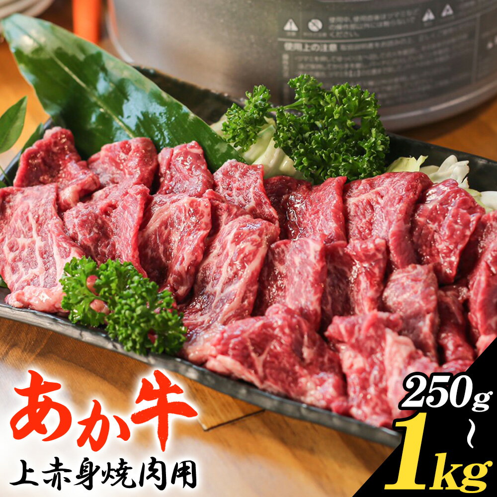 【ふるさと納税】あか牛 上赤身焼肉用 選べる内容量 250g 500g 1kg 1個 250g 白水乃蔵《30日以内に出荷予定(土日祝除く)》熊本県 南阿蘇村 あかうし 赤牛 上赤身 焼肉 冷凍 小分けパック 送料無料