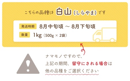 【令和8年産先行予約】だだちゃ豆(白山)　1000g（500g×2袋） だだちゃ喜左衛門株式会社　枝豆 1kg