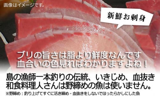 【年内発送】【お正月用】壱岐島産天然寒ブリ（8ｷﾛ台・丸もの） [JBS017]