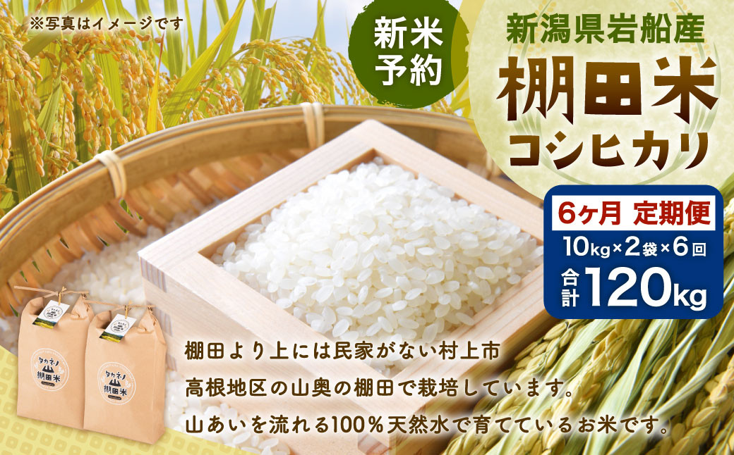 
                  【新米受付・令和8年産米】【定期便：6ヶ月連続でお届け】新潟県村上市岩船産 棚田米コシヒカリ 20kg×6ヶ月　1011012N　定期便 毎月 新米予約 お米 白米 こしひかり 精米 村上市
                